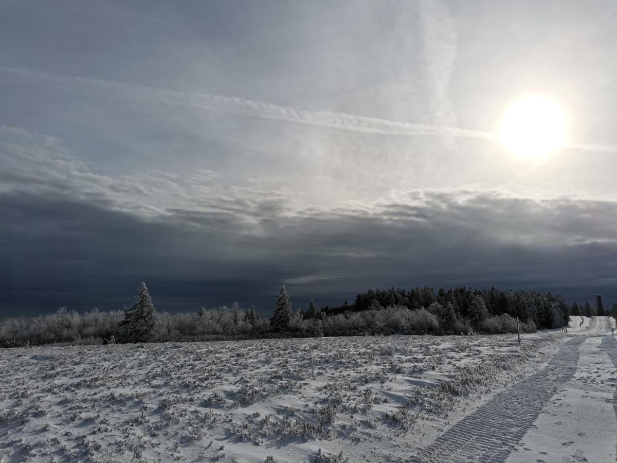 Gite Du Cerf Birkenwald Buitenkant foto