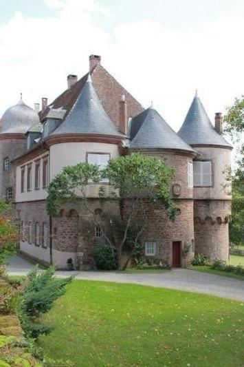 Gite Du Cerf Birkenwald Buitenkant foto