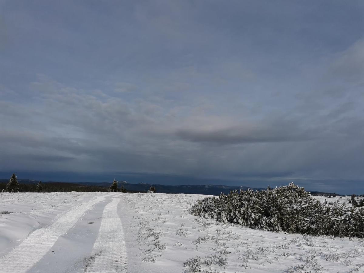Gite Du Cerf Birkenwald Buitenkant foto