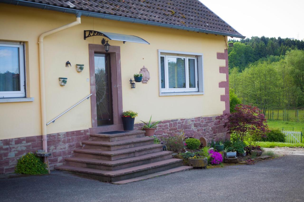 Gite Du Cerf Birkenwald Buitenkant foto