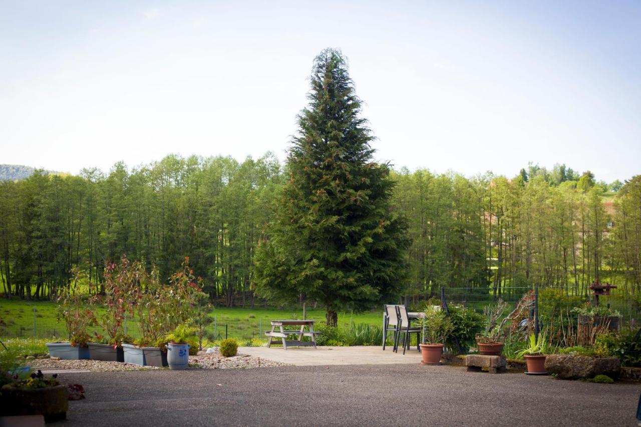 Gite Du Cerf Birkenwald Buitenkant foto